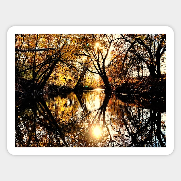 Stunning Evening Fall Water Reflections Sticker by Zen Goat 